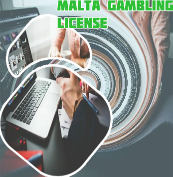 Best gambling programming company