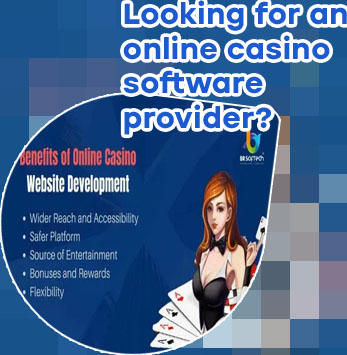Cash casino web developer service