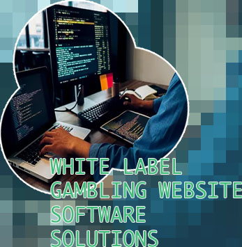 Gamble software house websites