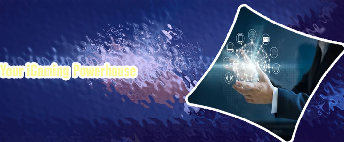 Igaming business software development companies in us